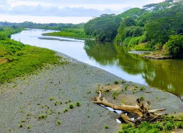 Crocodile Bridge