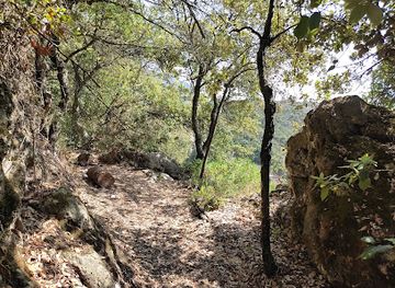 monaco/attraction/strefa-dzika