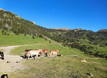 andorra/attraction/cova-d-en-josep-montaner