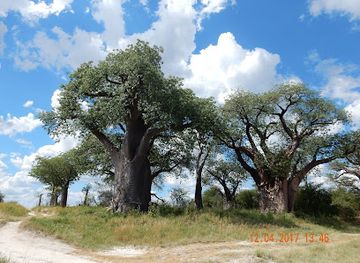 botswana/attraction/nxai-pan-national-park