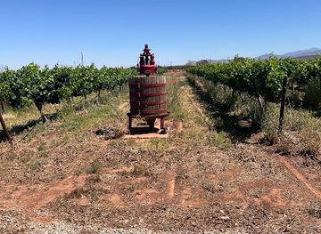new-mexico/attraction/mcginn-s-pistachioland-home-of-the-world-s-largest-pistachio