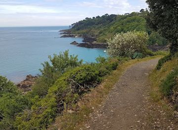 guernsey/attraction/the-ozanne-steps