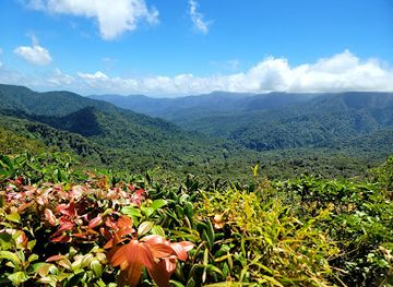 Monteverde Cloud Forest Biological Preserve