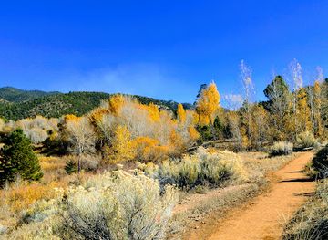 new-mexico/attraction/dale-ball-trails