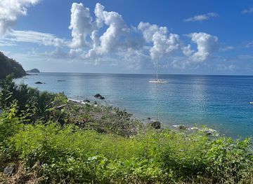 Champagne Reef, Dominica
