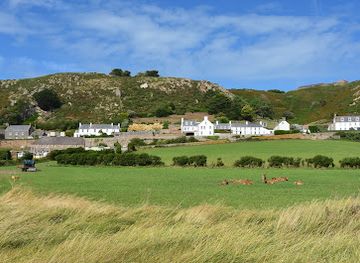 jersey/attraction/the-national-trust-for-jersey-wetland-centre