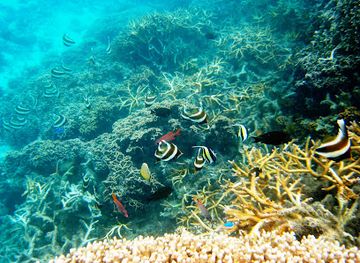Fagatele Marine Sanctuary
