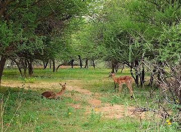 botswana/attraction/gaborone-game-reserve