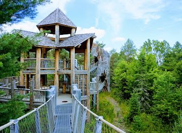 The Wild Center