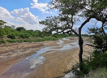 botswana/attraction/mashatu-game-reserve