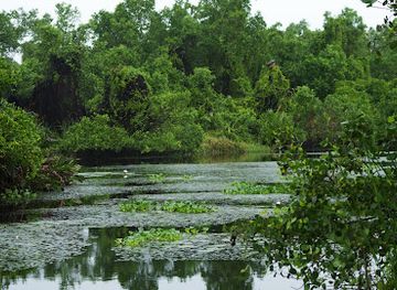 sri-lanka/attraction/kalametiya-bird-sanctuary