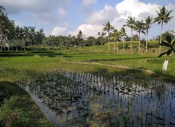 indonesia/attraction/temple-yeh-pulu