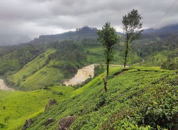 sri-lanka/attraction/st-clair-falls