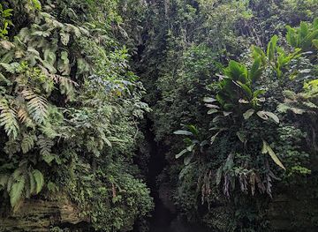 Millennium Cave