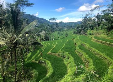 indonesia/attraction/sidemen-rice-terrace