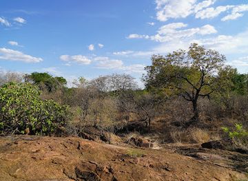 botswana/attraction/national-botanical-garden