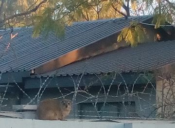 botswana/attraction/safari-destinations