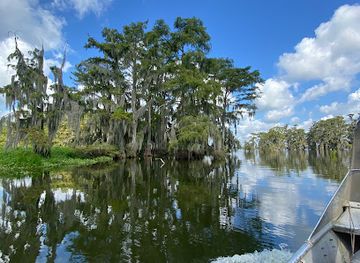 louisiana/attraction/louisiana-swamp-tours