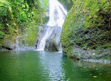 cook-islands/attraction/wigmore-s-waterfall