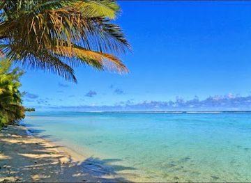 cook-islands/attraction/polynesian-rental-cars
