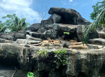 indonesia/attraction/bali-safari-and-marine-park