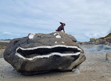 guernsey/attraction/frog-rock