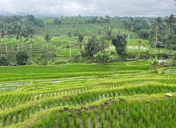 indonesia/attraction/rio-bali-tour