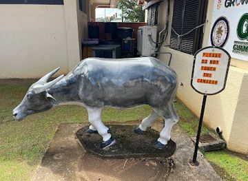 guam/attraction/grey-carabao