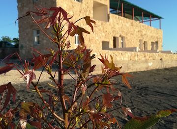 jordan/attraction/sela-castle