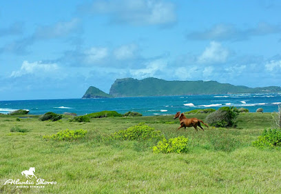The 10 best landmarks near Atlantic Shores Riding Stables (2026 ranked)