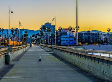 california/los-angeles/venice-beach