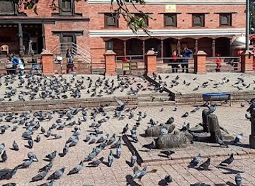 nepal/kathmandu/pashupatinath