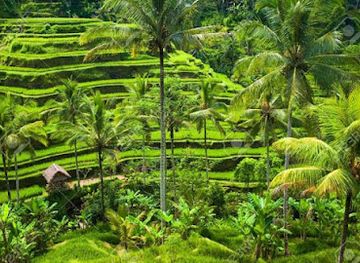 indonesia/bali/ubud