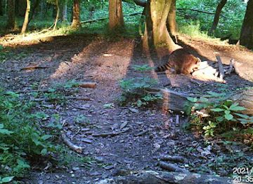 germany/hannover/vahrenwald