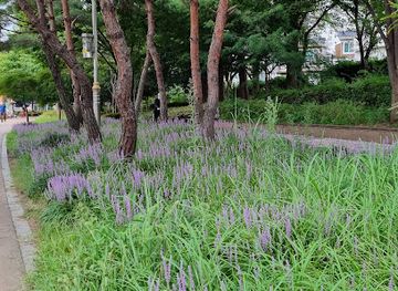 south-korea/gwangju/nam-gu