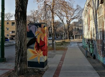 canada/winnipeg/osborne-village