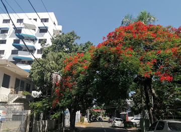 dominican-republic/santo-domingo/gazcue