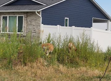 montana/billings/heights