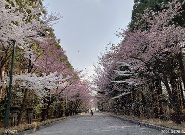 japan/sapporo/maruyama-park