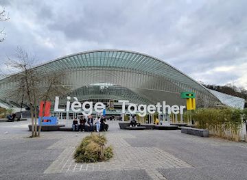 belgium/liege/guillemins