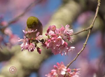 new-zealand/hamilton/hamilton-east