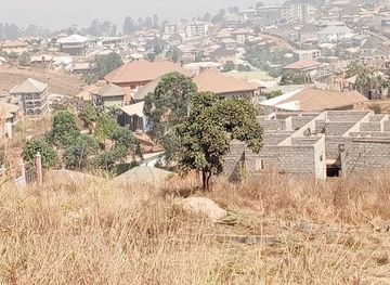 cameroon/bamenda/up-station