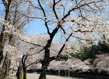 south-korea/daegu/duryu-park