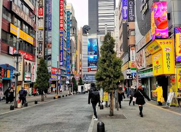 japan/tokyo/shinjuku