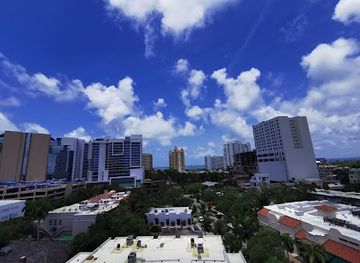 florida/sarasota/downtown-sarasota