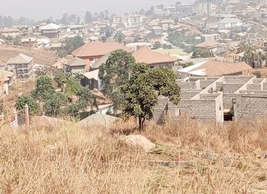 cameroon/bamenda/up-station