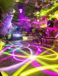 Attraction