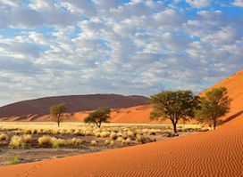 Namib Naukluft National Park