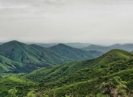 Gashaka-Gumti National Park