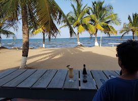 Rhum Shack at Hopkins Bay Resort